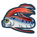 Oarfish